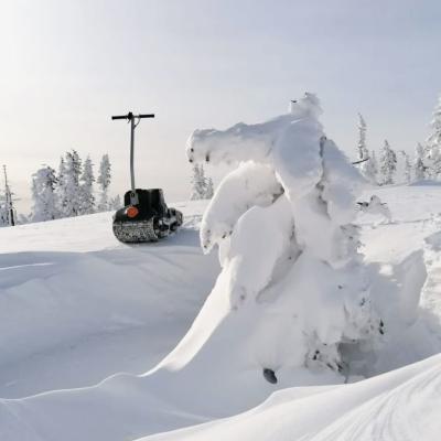 Прокат мотосноубордов в Москве