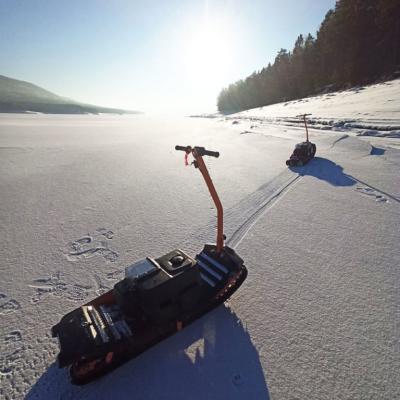 Прокат мотосноубордов в Москве